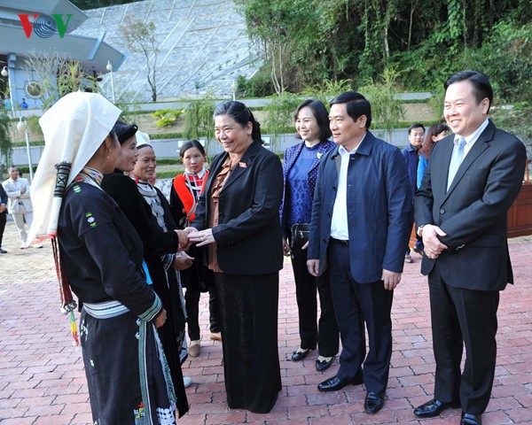 Тонг Тхи Фонг совершила рабочую поездку в провинцию Каобанг - ảnh 1